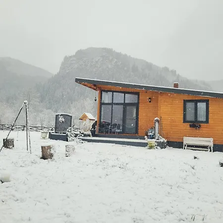 Casuta De Sub Stanca Apuseni,Hot Tub Inclus Villa Birzesti Exterior photo