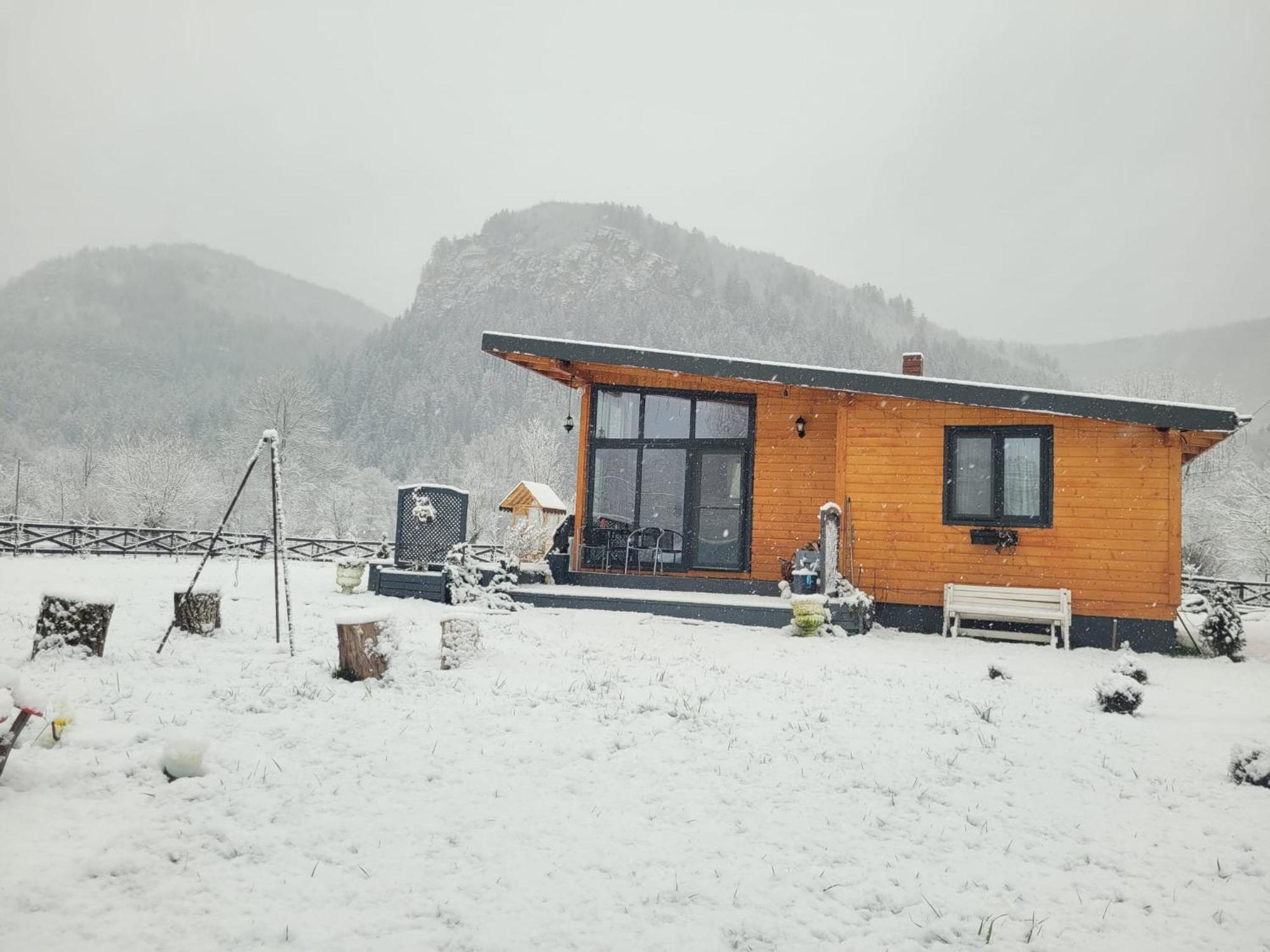 Casuta De Sub Stanca Apuseni,hot Tub Inclus Hébergement de vacances